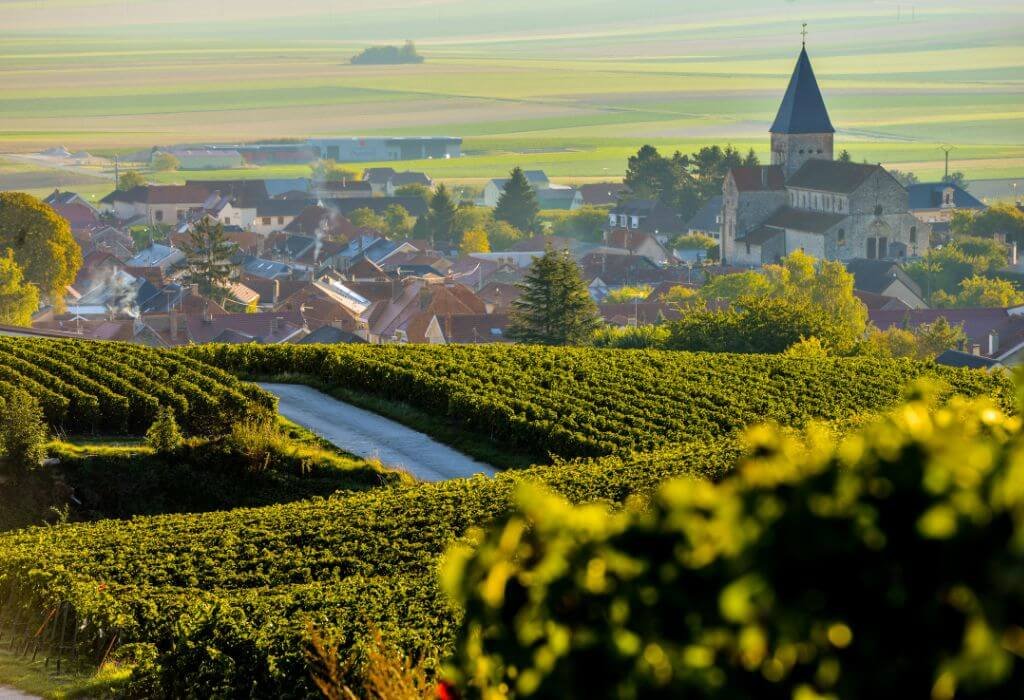 Landscape and Vineyard France Champagne